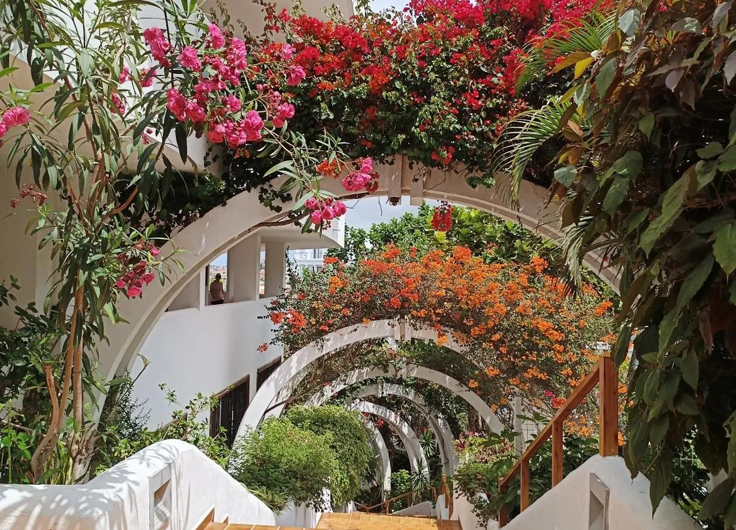 Apartment Parque Royal Fanabe Costa Adeje   Costa Adeje (Tenerife)